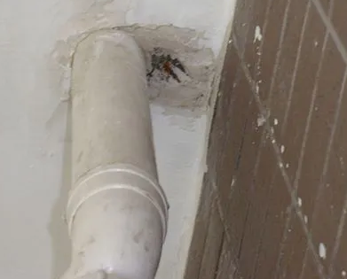 盘龙漏水检测哪家好